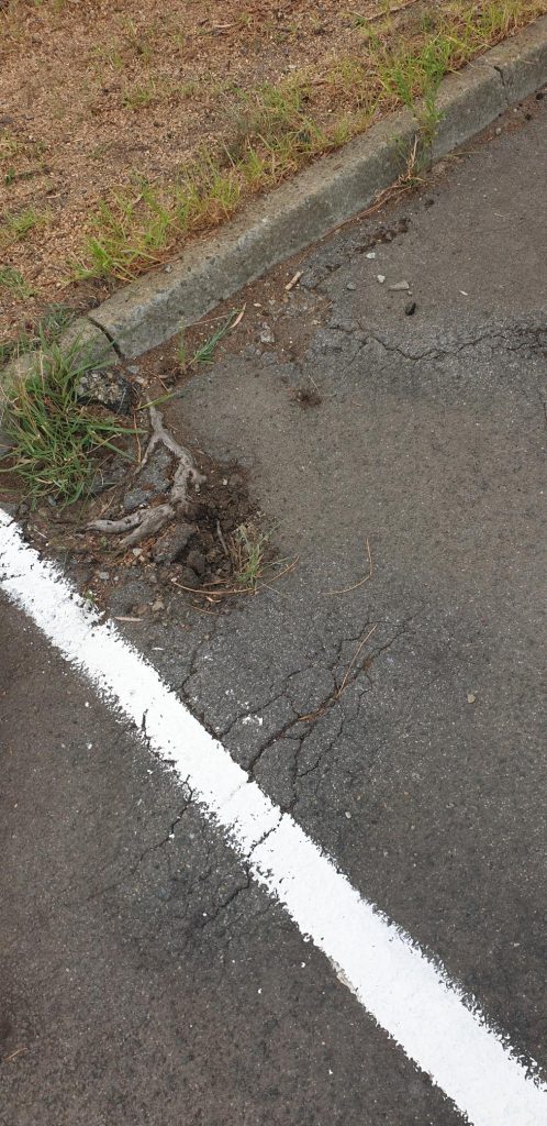 Asphalt Reinstatement in Kardinya