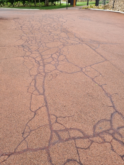 red crack sealing wa